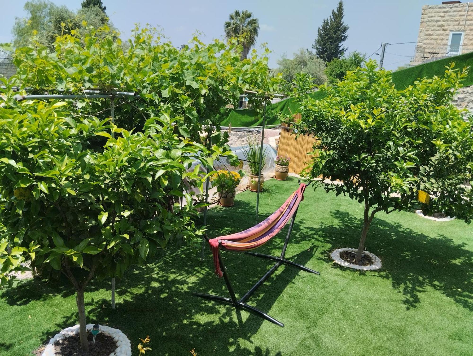 شقة קסם עין כרם القدس المظهر الخارجي الصورة